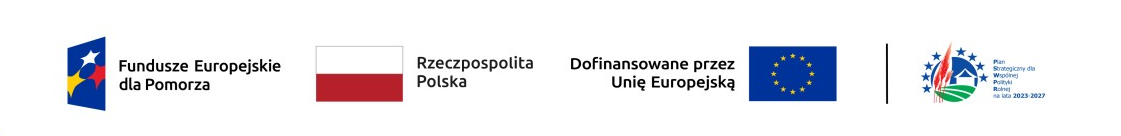 Logotypy unijne dla projektu realizowanego przez Bursztynowy Pasaż.