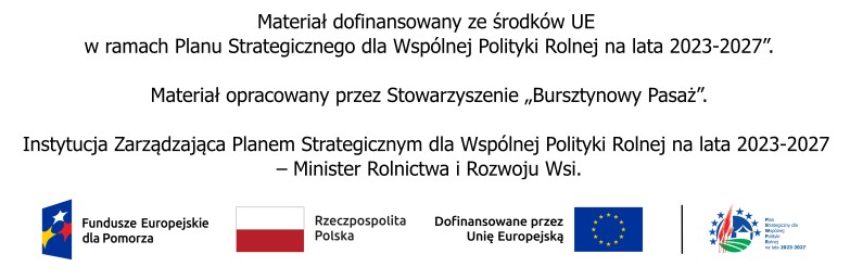 Logotypy EU i informacja o finansowaniu