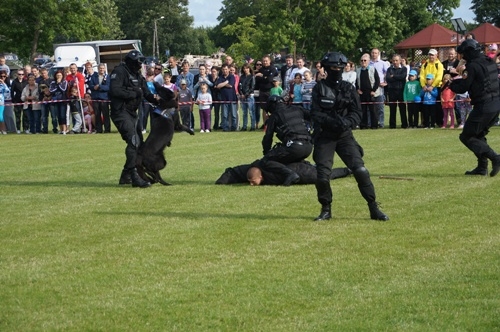 Fotografia z Dni Gminy Wicko 2015 -dzień drugi, pokaz tresury psów policyjnych