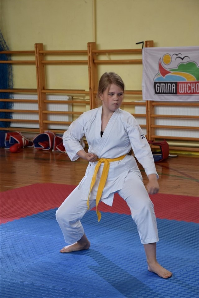 Grafika: Mistrzostwa Polskiej Federacji Okinawa Goju Ryu Karate Do.