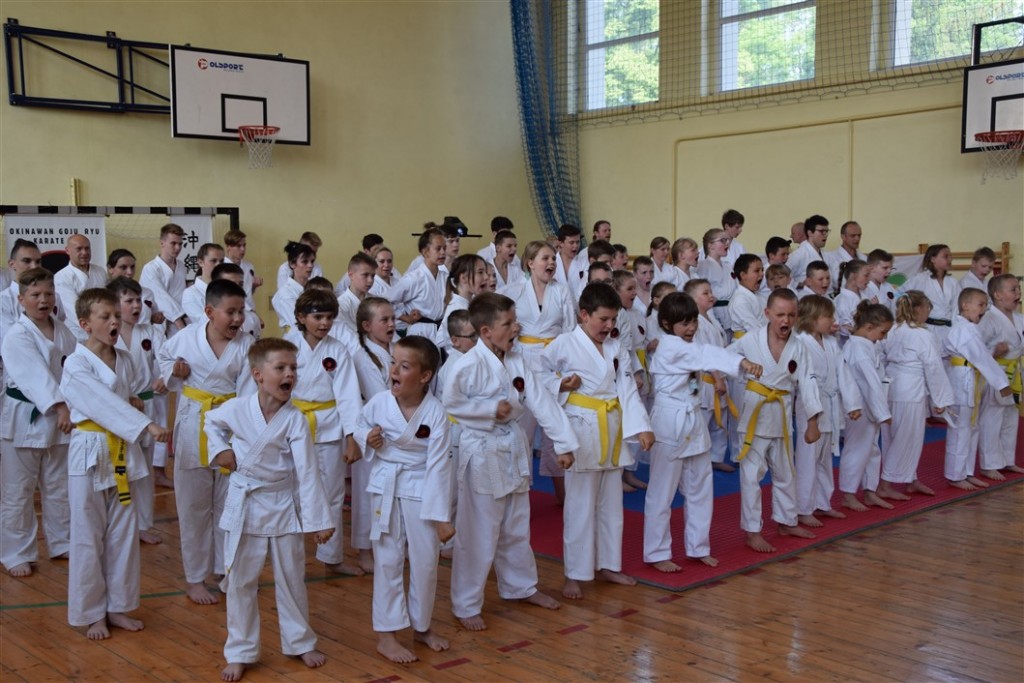 Grafika: Mistrzostwa Polskiej Federacji Okinawa Goju Ryu Karate Do.