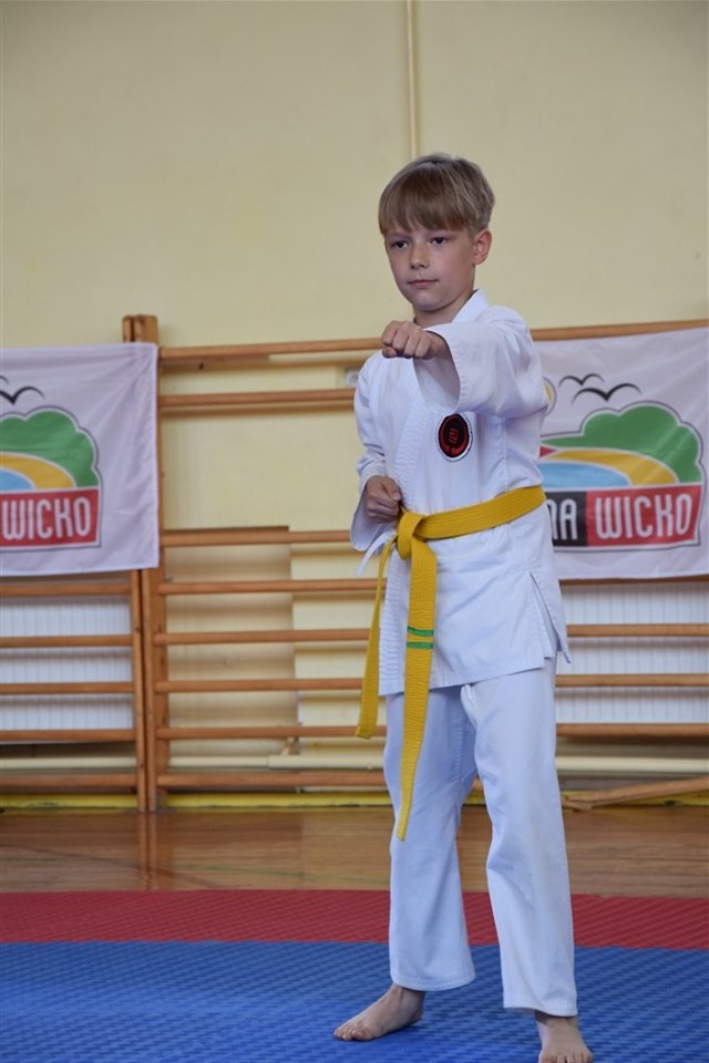 Grafika: Mistrzostwa Polskiej Federacji Okinawa Goju Ryu Karate Do.