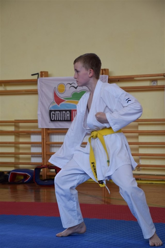 Grafika: Mistrzostwa Polskiej Federacji Okinawa Goju Ryu Karate Do.