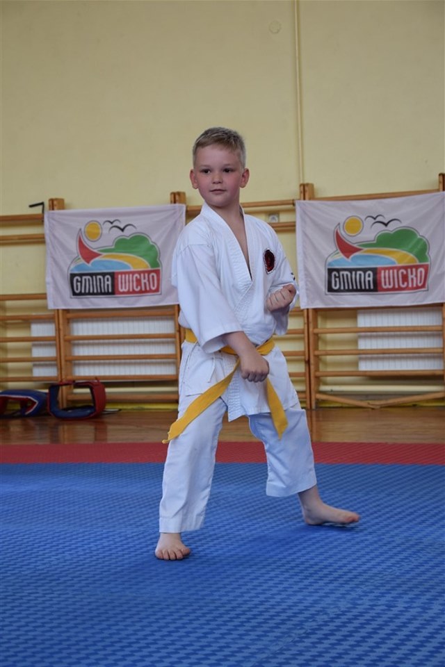 Grafika: Mistrzostwa Polskiej Federacji Okinawa Goju Ryu Karate Do.