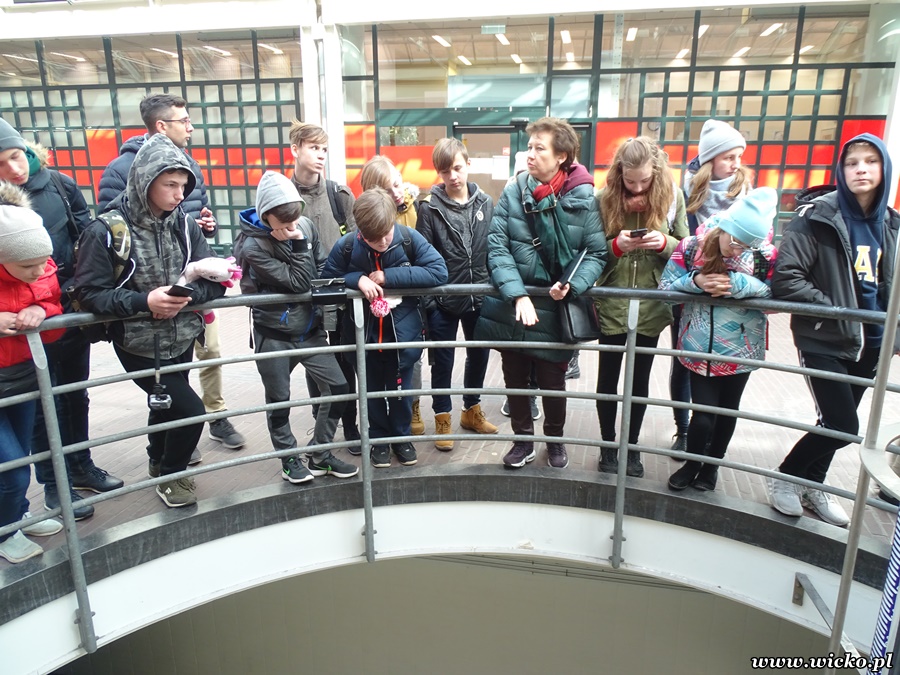 Grafika: Wyjazd edukacyjny dzieci z Gminy Wicko do Holandii.