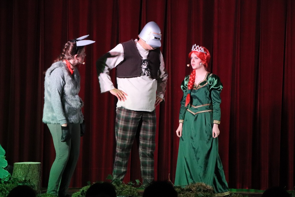 Grafika: “Inne jest piękne” premiera musicalu