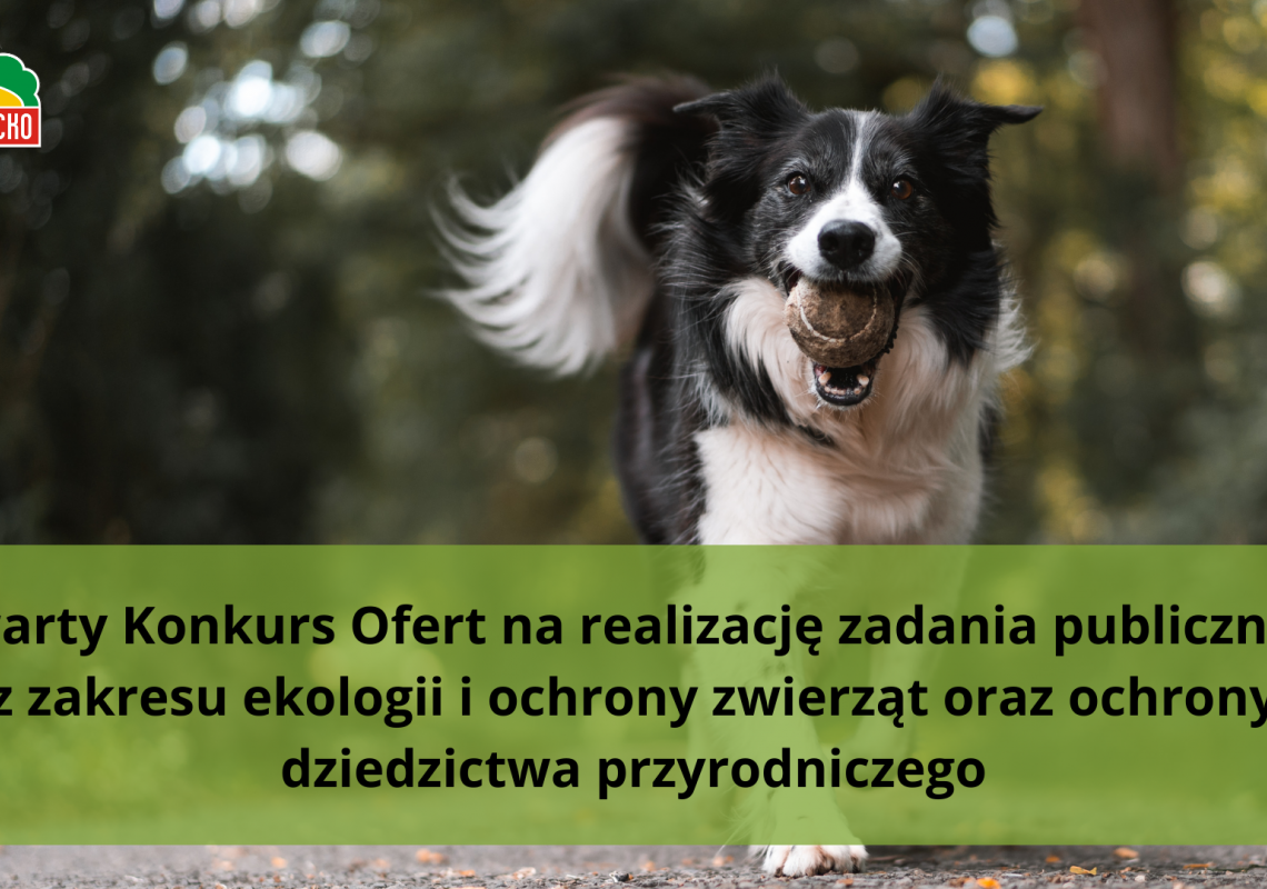 Grafika 1: Otwarty Konkurs Ofert na realizację zadania publicznego z zakresu ekologii i ochrony zwierząt oraz ochrony dziedzictwa przyrodniczego