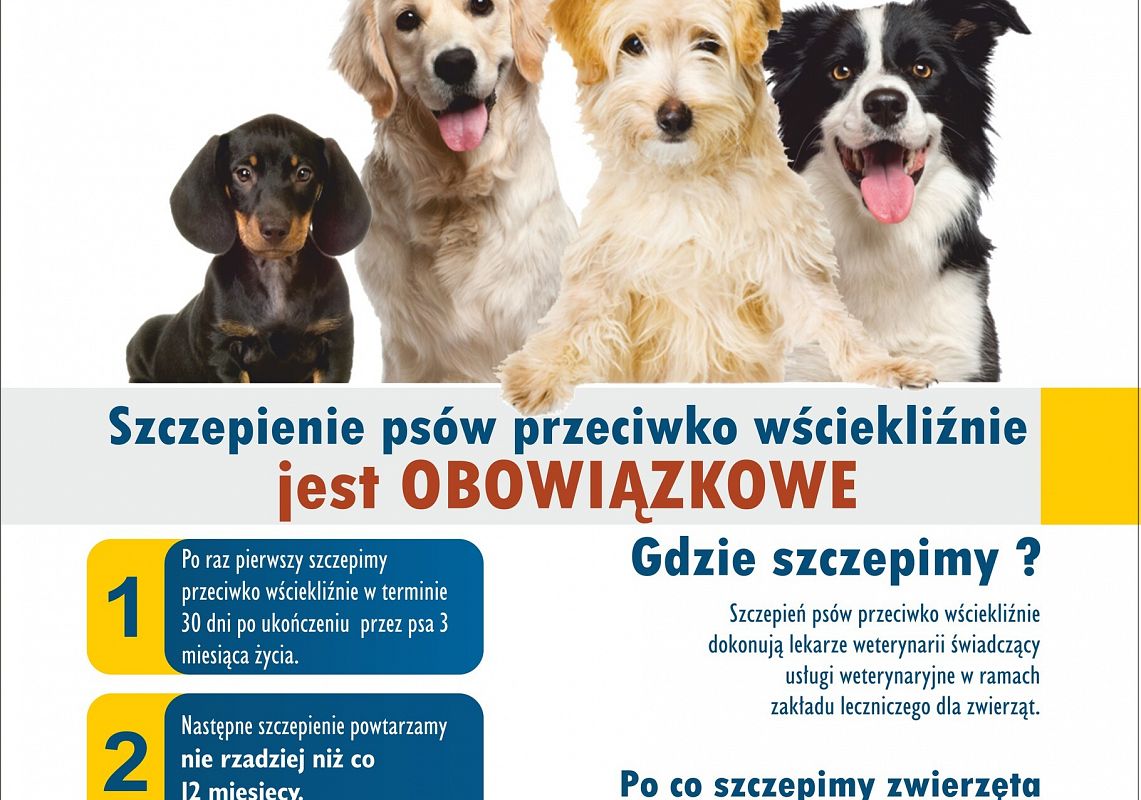 Grafika 1: Zaszczep swojego PUPILA