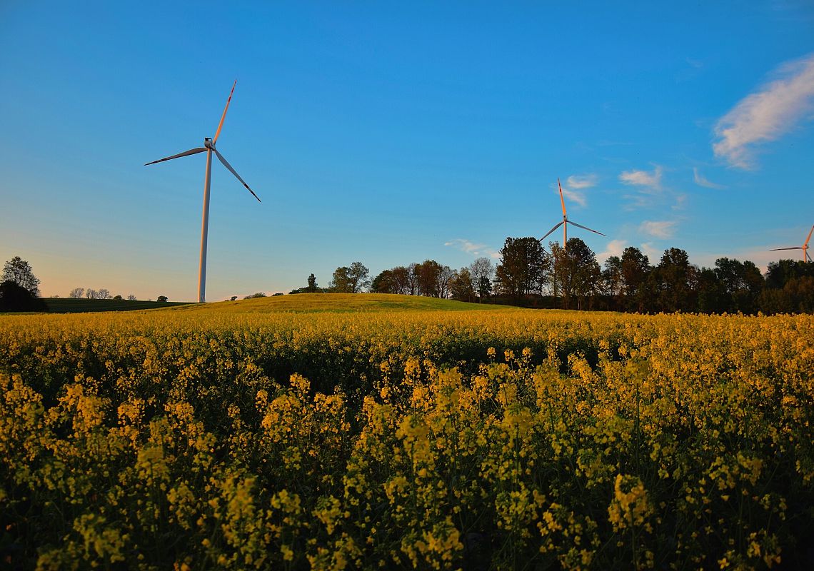 Grafika 1: Otwarty nabór partnera w celu wspólnej realizacji projektu w ramach naboru:  Działanie 5.8.Edukacja ogólna i zawodowa
