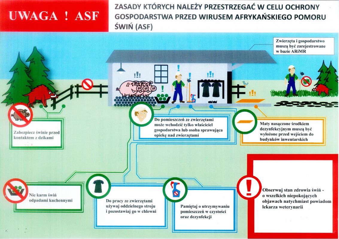 Grafika #0: Uwaga na Afrykański Pomór Świń