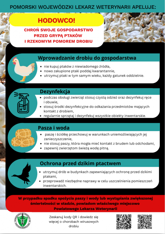 Grafika 1: Ważny komunikat Powiatowego Lekarza Weterynarii w Lęborku dotyczący grypy ptaków (HPAI) oraz rzekomego pomoru drobiu (ND)