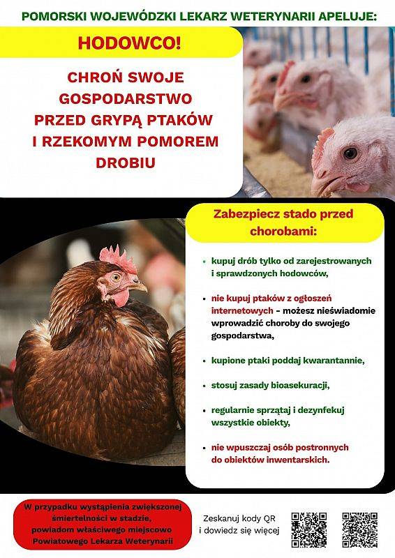 Grafika 1: Komunikat Powiatowego Lekarza Weterynarii w Lęborku w sprawie grypy ptaków i rzekomego pomoru drobiu.
