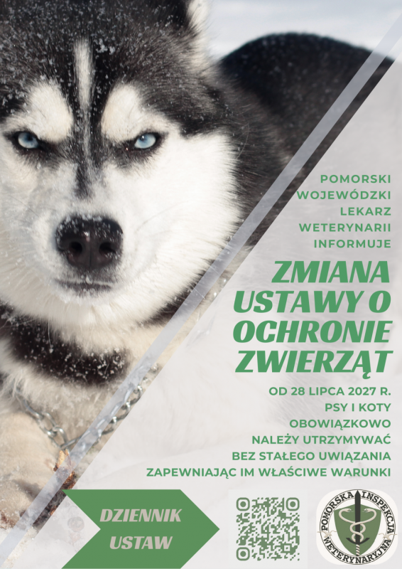 Grafika 1: Od 28 lipca 2027 r. psy i koty obowiązkowo należy utrzymywać bez stałego uwiązania