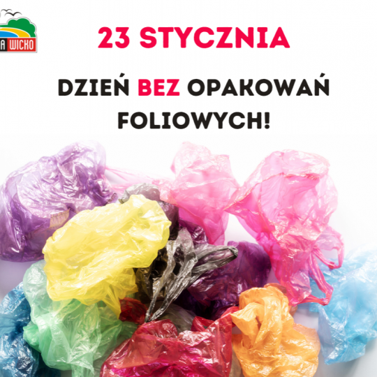 Grafika: 23 stycznia obchodzimy Dzie...