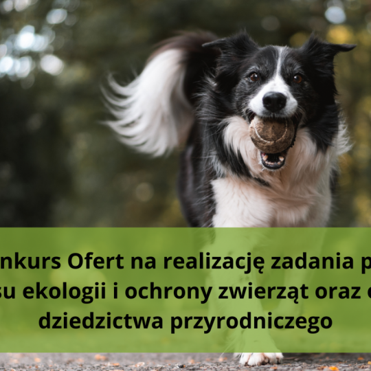 Grafika: Otwarty Konkurs Ofert na re...