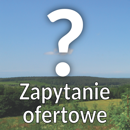 Grafika: Zapytanie ofertowe         ...