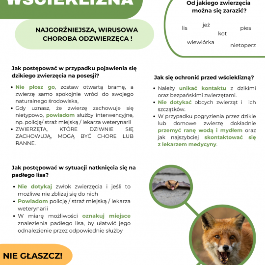 Grafika: Wścieklizna - najgroźniejsz...