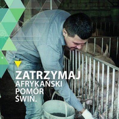 Grafika: Uwaga!!! Zagrożenie afrykań...