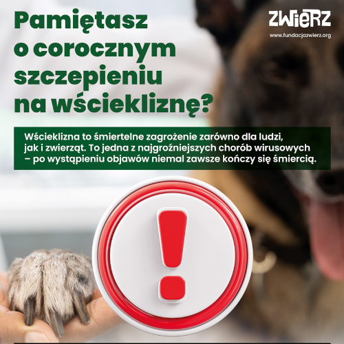 Grafika: Wścieklizna - śmiertelne za...