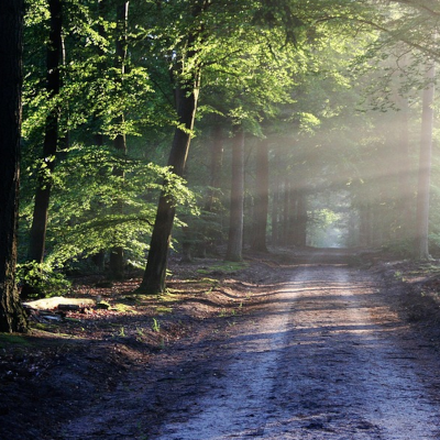 Grafika: Wykonanie Wielkoobszarowej ...