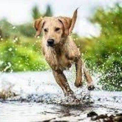 Grafika: Otwarty Konkurs Ofert na re...