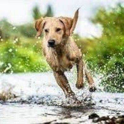 Grafika: Rozstrzygnięcie otwartego k...