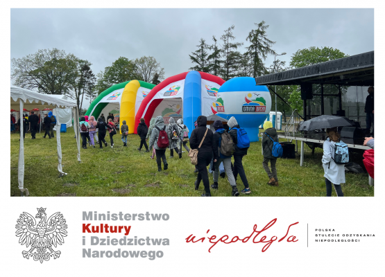 Grafika 3: Piknik historyczny "Siła Niepodległej"