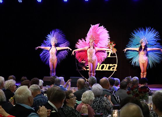 Grafika 10: Dzień Seniora w Gminie Wicko