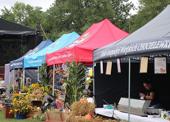 Grafika 15: XXIII Dożynki Powiatowe w Charbrowie