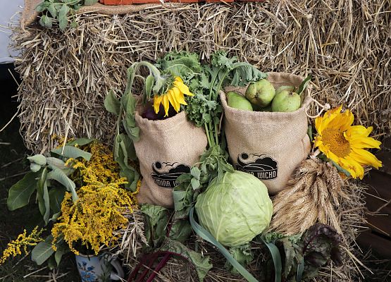 Grafika 53: XXIII Dożynki Powiatowe w Charbrowie