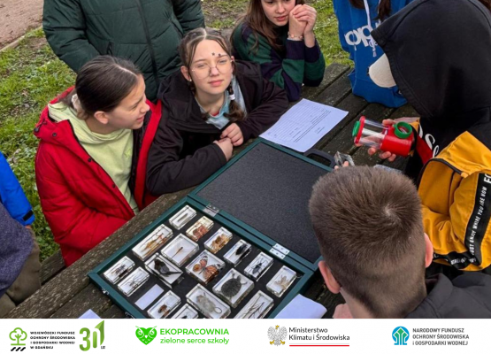 Grafika 35: Utworzenie ekoPracowni w Szkole Podstawowej w Wicku ze środków WFOŚiGW w Gdańsku