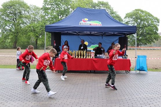 Grafika #4: VI Rajd Nordic Walking Gminy Wicko