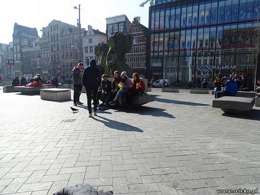 Grafika #58: Wyjazd edukacyjny dzieci z Gminy Wicko do Holandii.