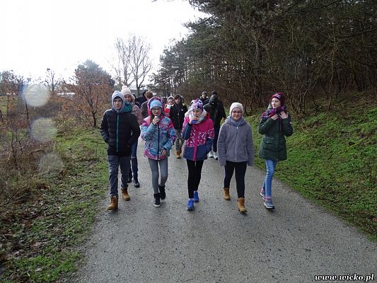 Grafika #54: Wyjazd edukacyjny dzieci z Gminy Wicko do Holandii.