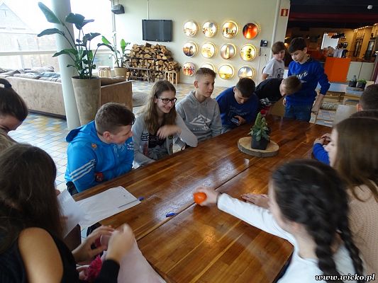 Grafika #2: Wyjazd edukacyjny dzieci z Gminy Wicko do Holandii.