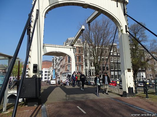 Grafika #14: Wyjazd edukacyjny dzieci z Gminy Wicko do Holandii.