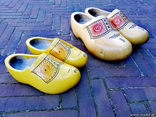 Grafika #19: Wyjazd edukacyjny dzieci z Gminy Wicko do Holandii.