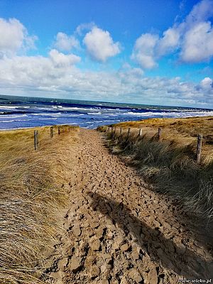 Grafika #17: Wyjazd edukacyjny dzieci z Gminy Wicko do Holandii.