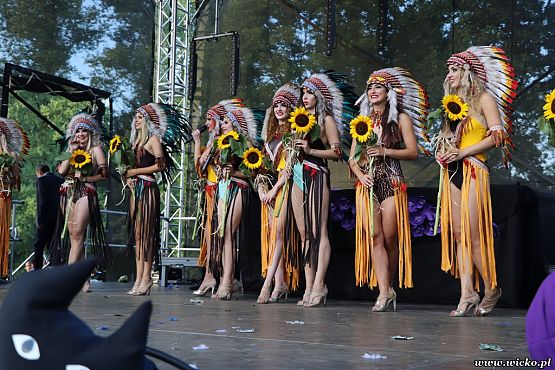 Grafika #116: X jubileuszowe Dni Gminy Wicko już za nami!!!