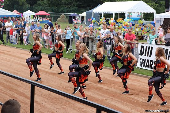 Grafika #6: X jubileuszowe Dni Gminy Wicko już za nami!!!