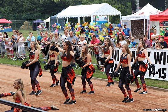 Grafika #8: X jubileuszowe Dni Gminy Wicko już za nami!!!