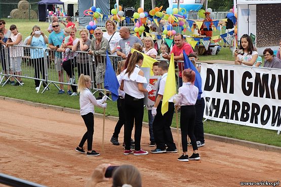 Grafika #10: X jubileuszowe Dni Gminy Wicko już za nami!!!