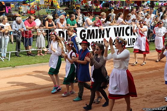 Grafika #17: X jubileuszowe Dni Gminy Wicko już za nami!!!