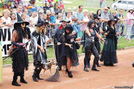 Grafika #59: X jubileuszowe Dni Gminy Wicko już za nami!!!