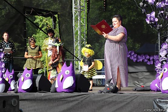 Grafika #79: X jubileuszowe Dni Gminy Wicko już za nami!!!