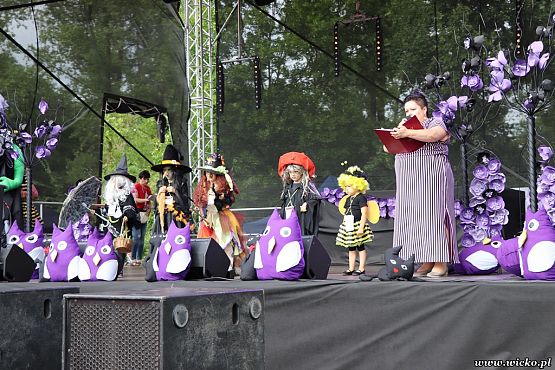 Grafika #80: X jubileuszowe Dni Gminy Wicko już za nami!!!