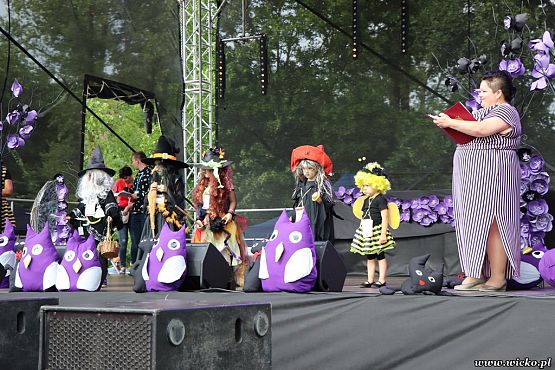 Grafika #81: X jubileuszowe Dni Gminy Wicko już za nami!!!