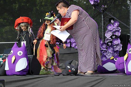 Grafika #82: X jubileuszowe Dni Gminy Wicko już za nami!!!