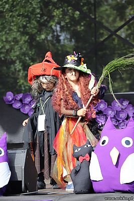 Grafika #83: X jubileuszowe Dni Gminy Wicko już za nami!!!