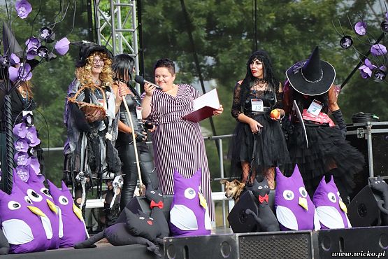 Grafika #88: X jubileuszowe Dni Gminy Wicko już za nami!!!